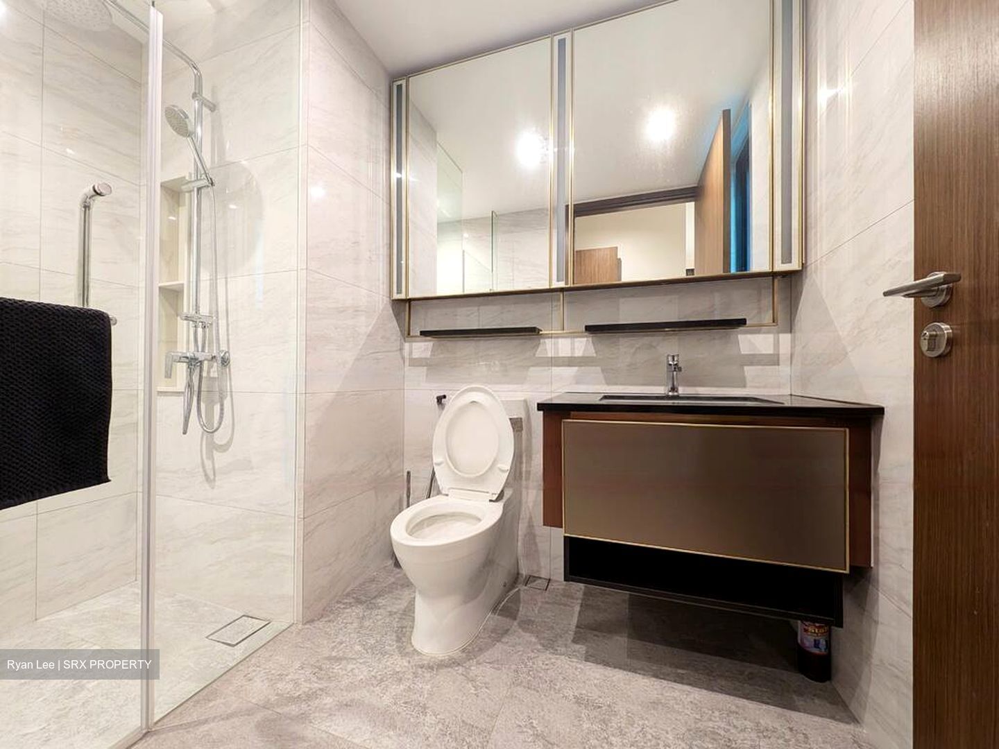 Normanton Park (D5), Apartment #482055631